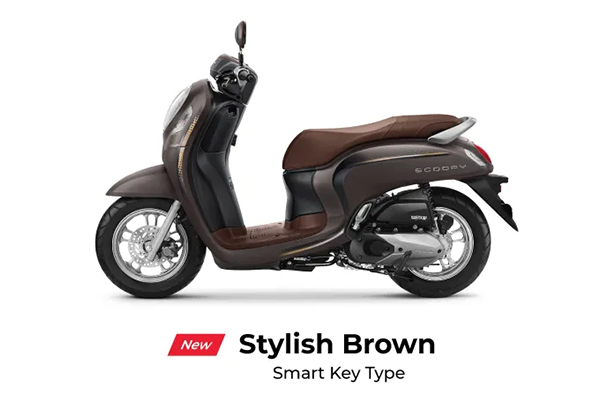 All New Scoopy Stylish Brown